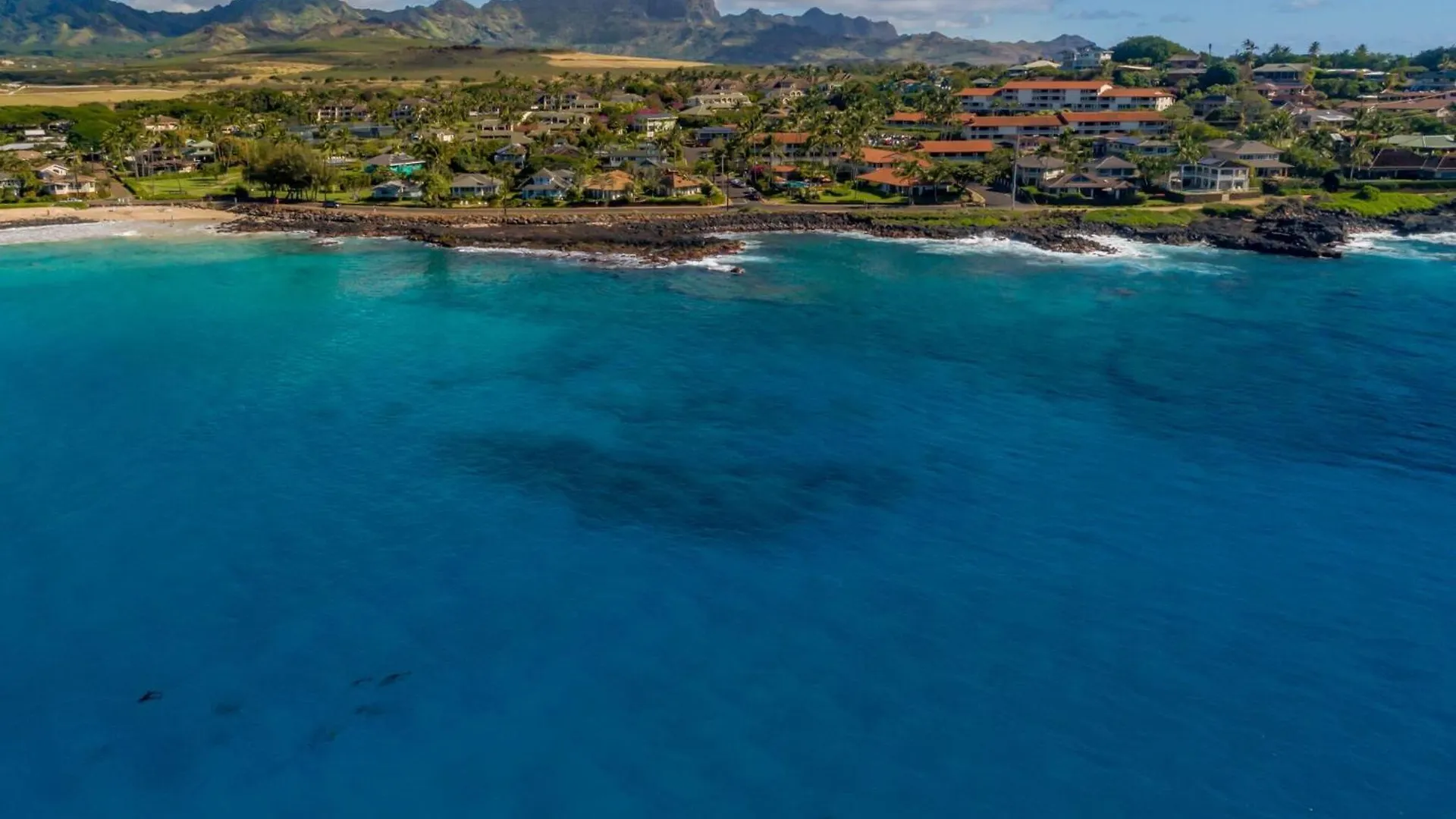 Tatil Evi Nihi Kai 802 - Ocean Views Villa Kipu ABD